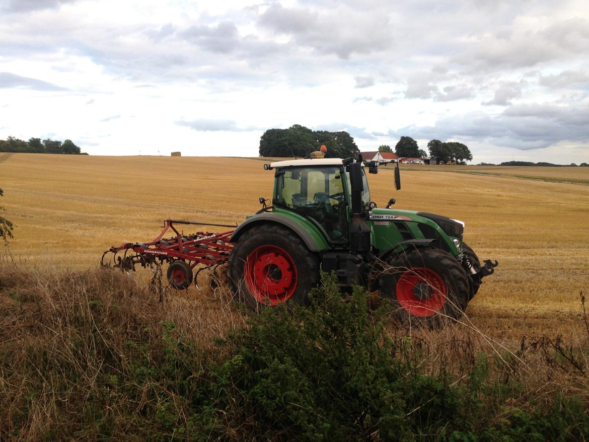 Fendt 724 vario tms profi plus - det er måske en lidt stor traktor til den lille harve billede 25