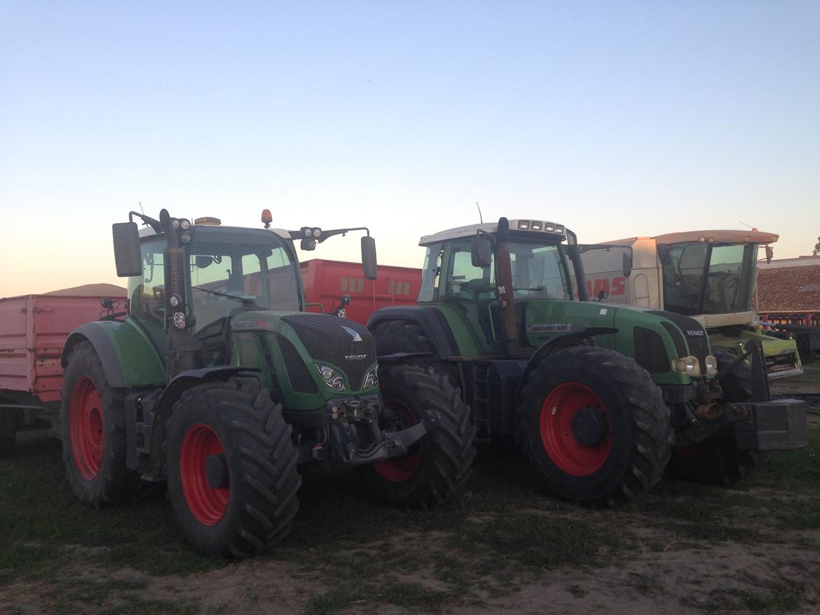 Fendt 724 vario tms profi plus - fra venstre Fendt 724, Fendt 926 og claas lexion 460 billede 34