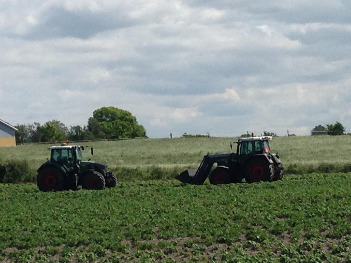 Fendt 724 vario tms profi plus billede 47