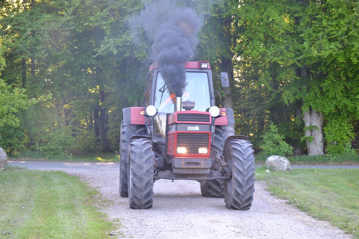 Case IH 1255xl billede 12