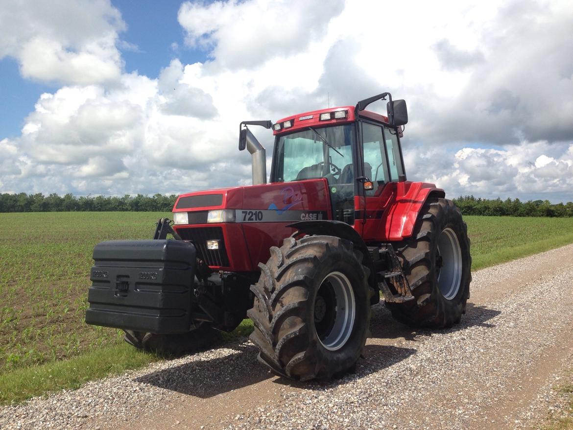 Case IH Magnum 7210 PRO - Efter polering billede 2