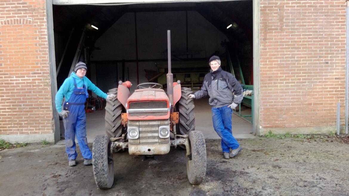 Massey Ferguson 135 Multi-Power billede 13