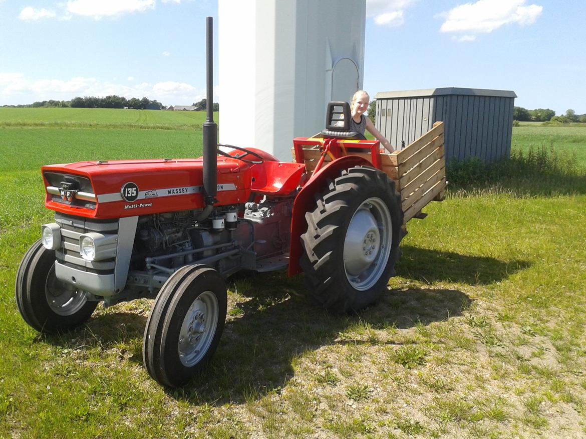 Massey Ferguson 135 Multi-Power billede 2