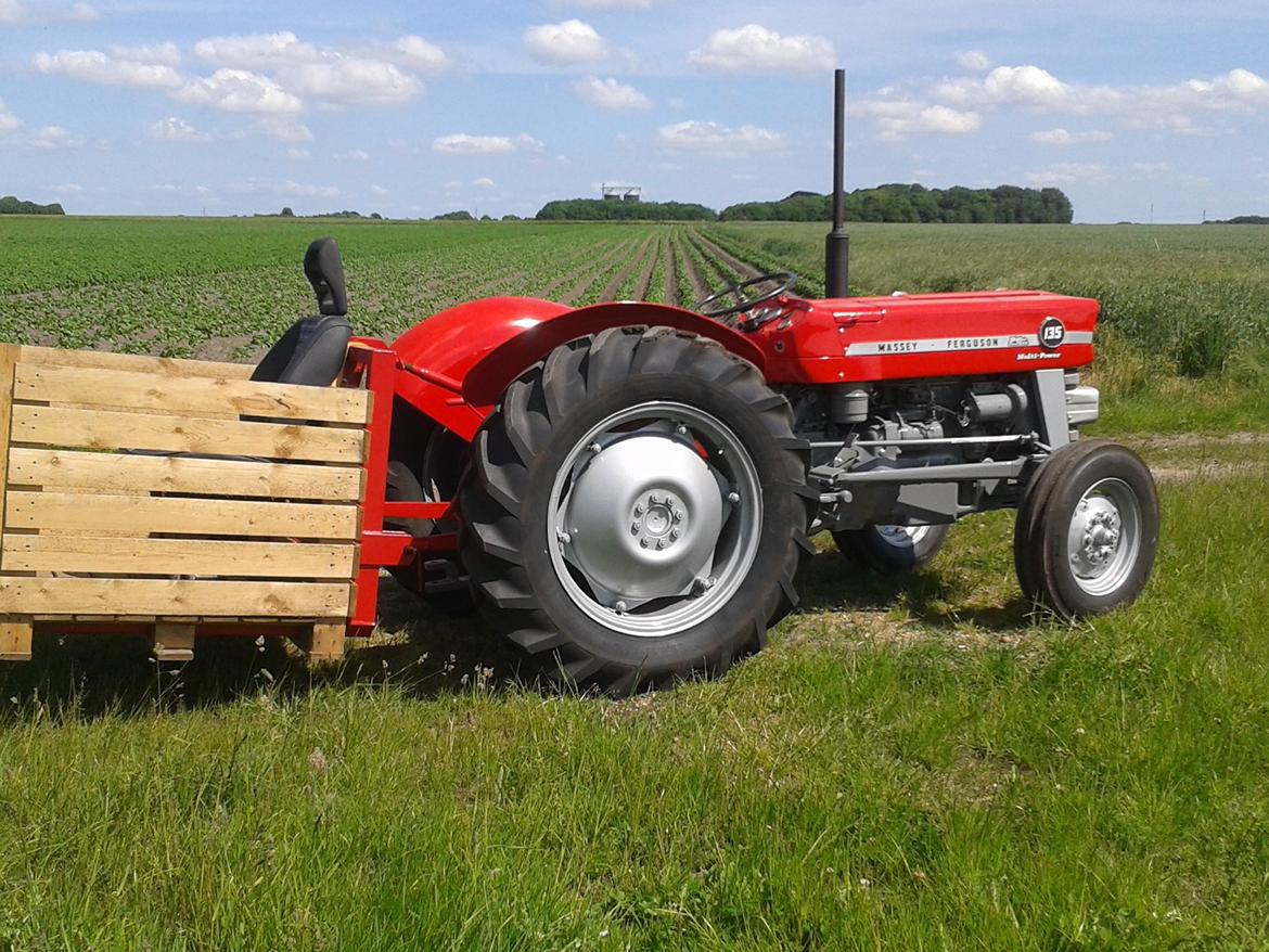 Massey Ferguson 135 Multi-Power billede 8