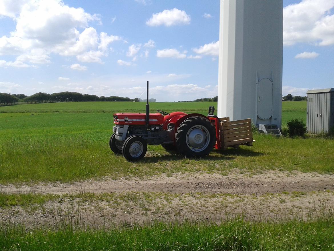 Massey Ferguson 135 Multi-Power billede 11