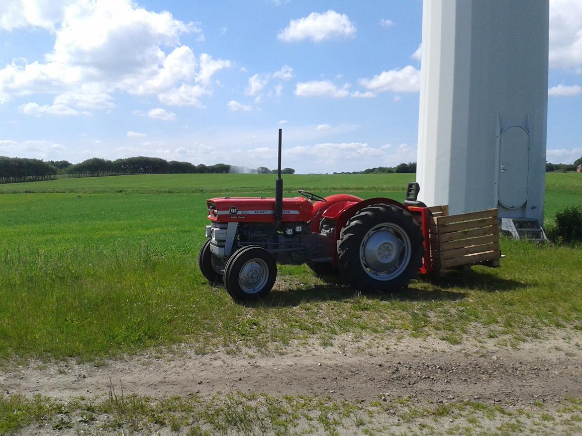 Massey Ferguson 135 Multi-Power billede 10