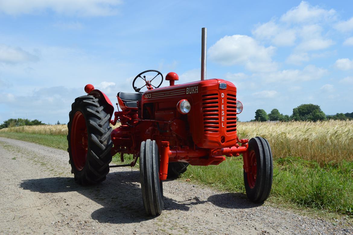 Bukh 403 billede 1