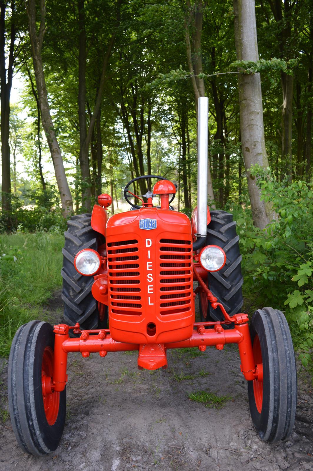 Bukh 403 billede 6