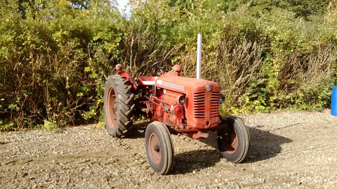 Bukh 403 billede 8