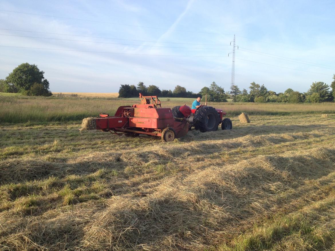 Massey Ferguson 35 x billede 12