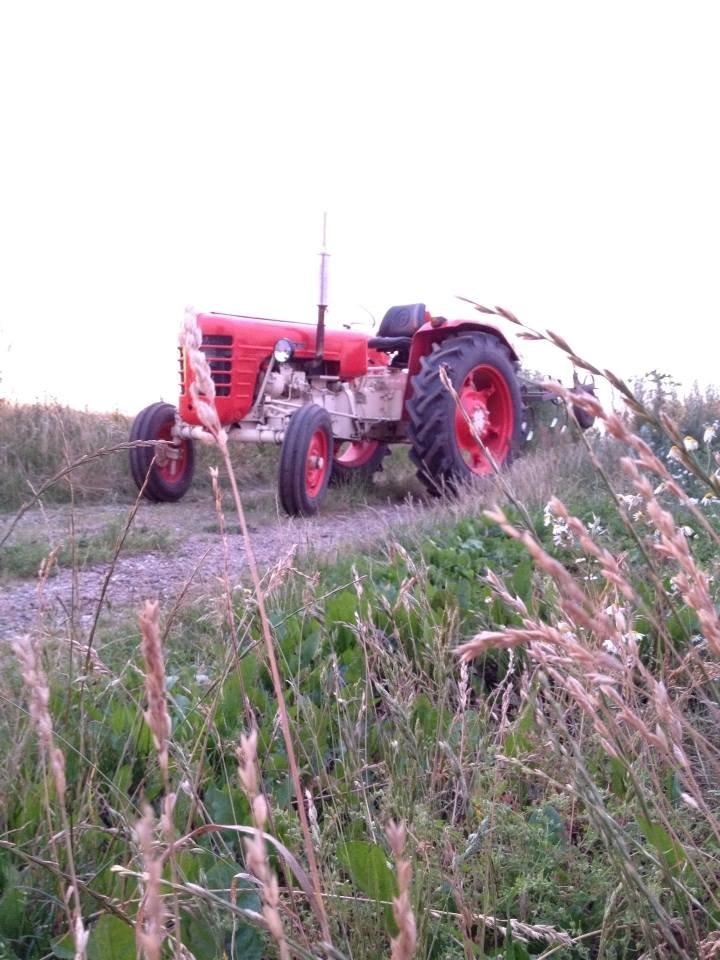 Zetor 3011 billede 7