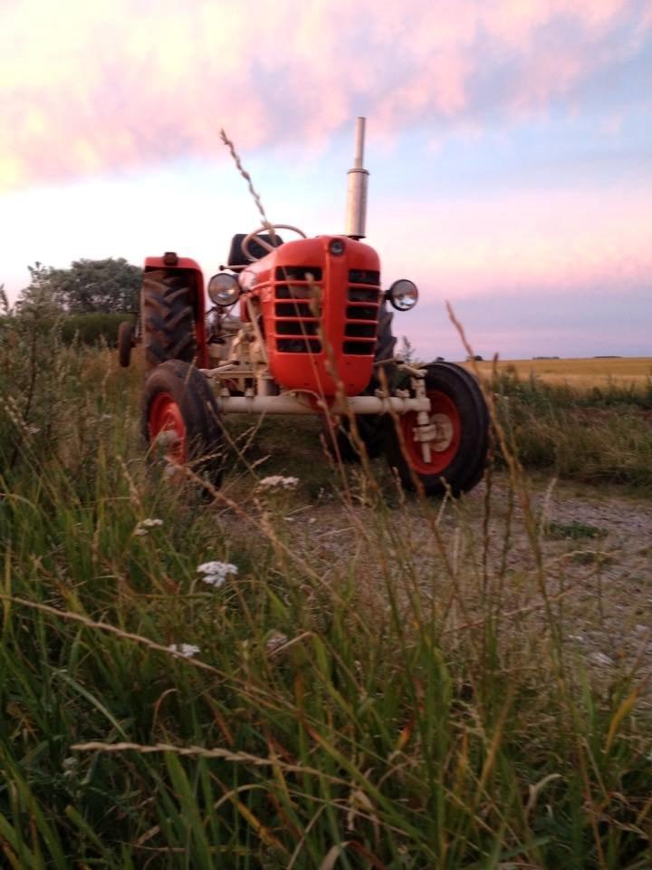 Zetor 3011 billede 10