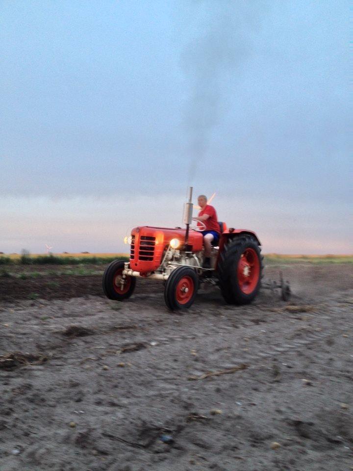 Zetor 3011 billede 11