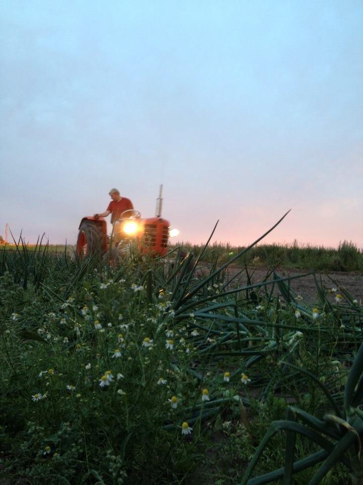 Zetor 3011 billede 12