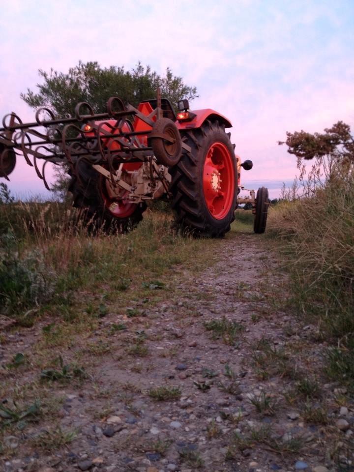 Zetor 3011 billede 14