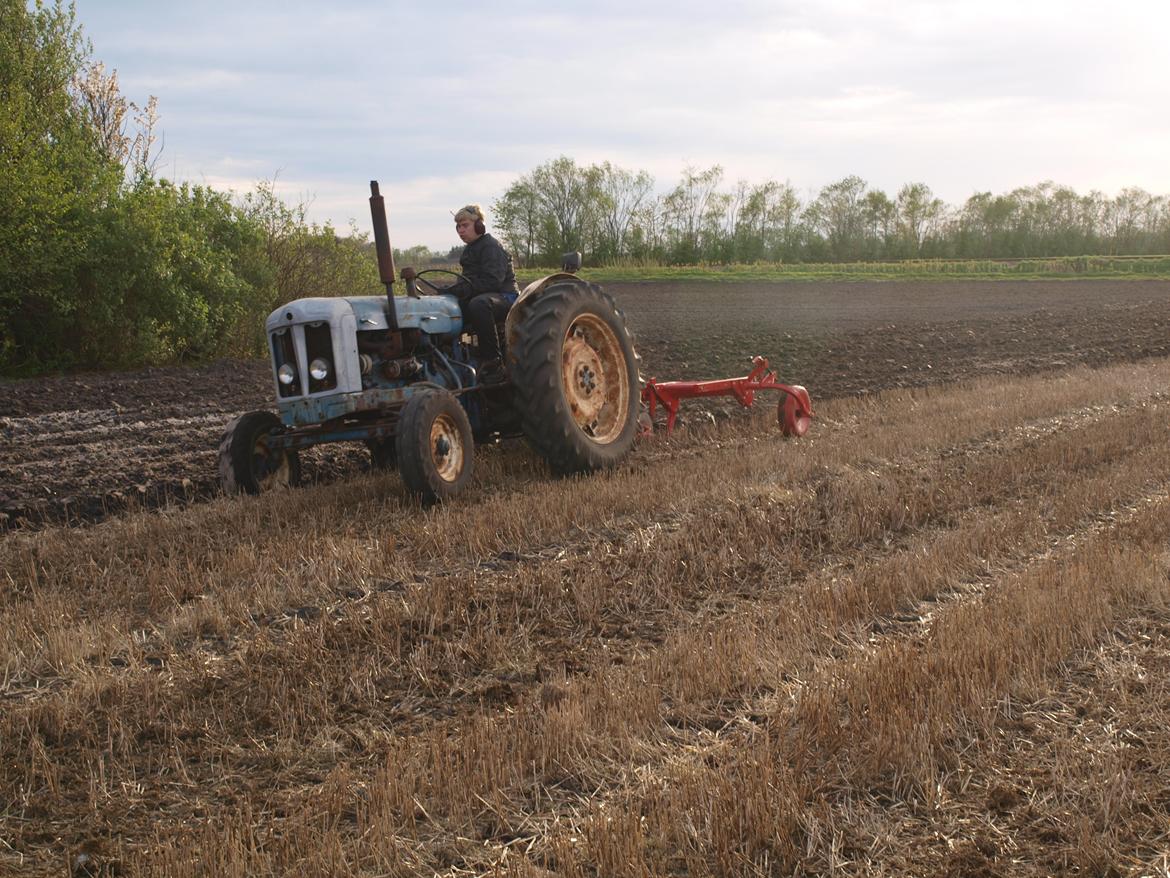 Fordson Super Major billede 27