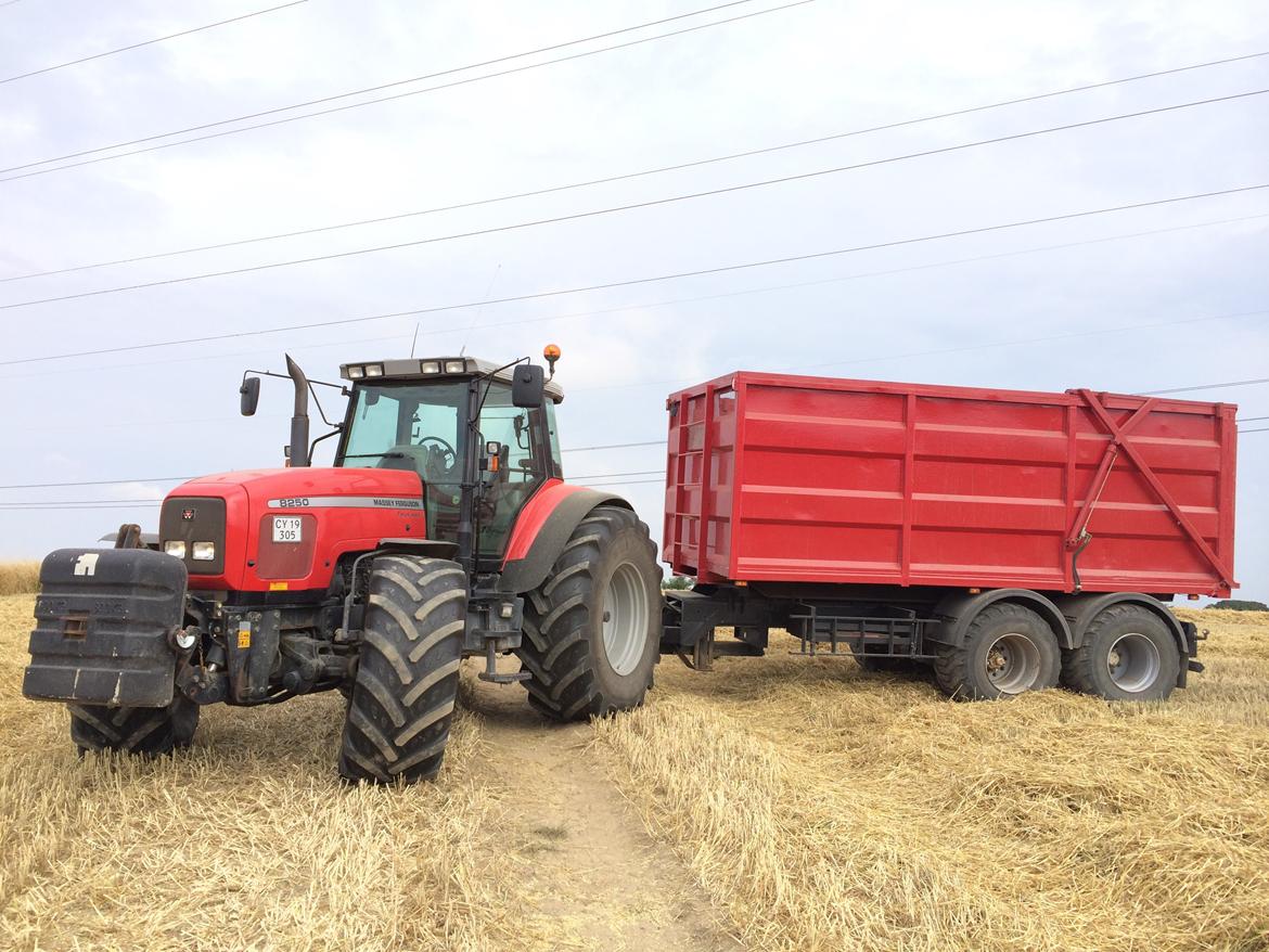 Massey Ferguson 8250 billede 1