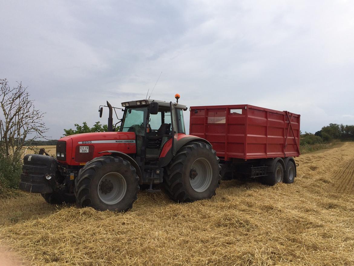 Massey Ferguson 8250 billede 3