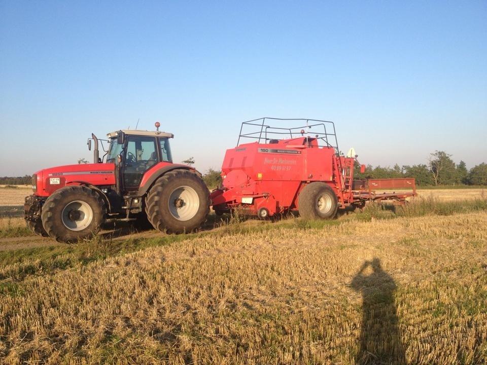 Massey Ferguson 8250 billede 8