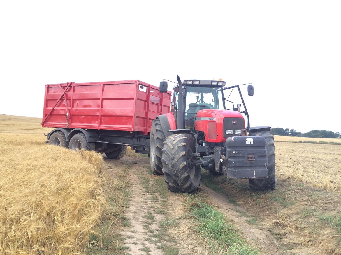 Massey Ferguson 8250 billede 9