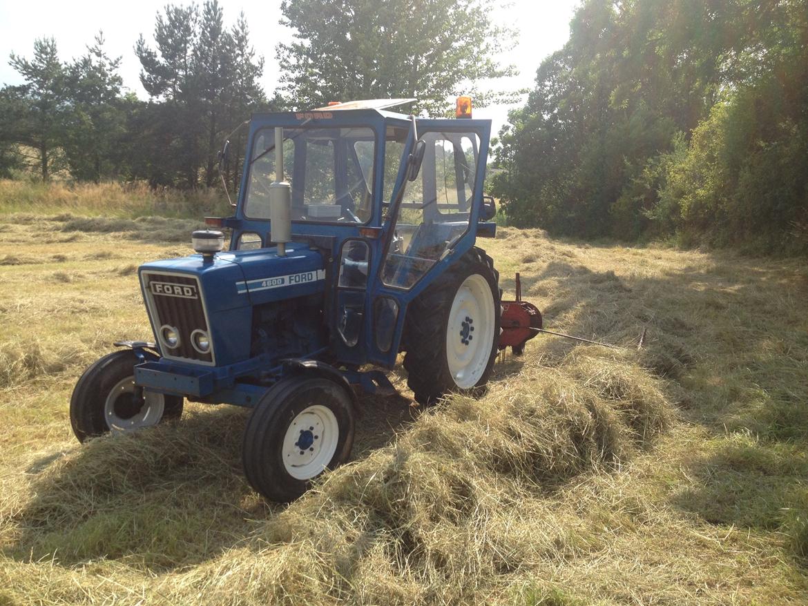 Ford 4600 (SOLGT) - Da jeg var ude og samle hø billede 29