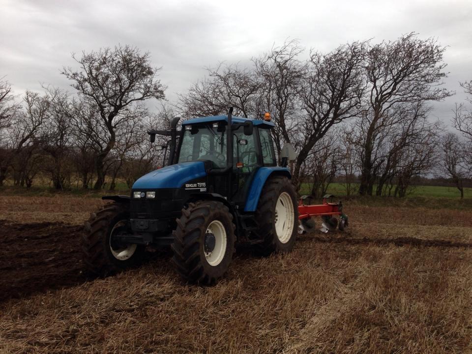 New Holland TS 115 - Med ploven i foråret 2014 billede 9