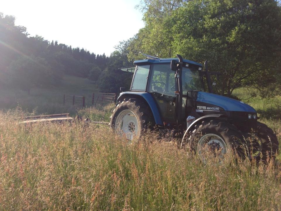New Holland TS 115 - Slår enghø 2014 billede 11