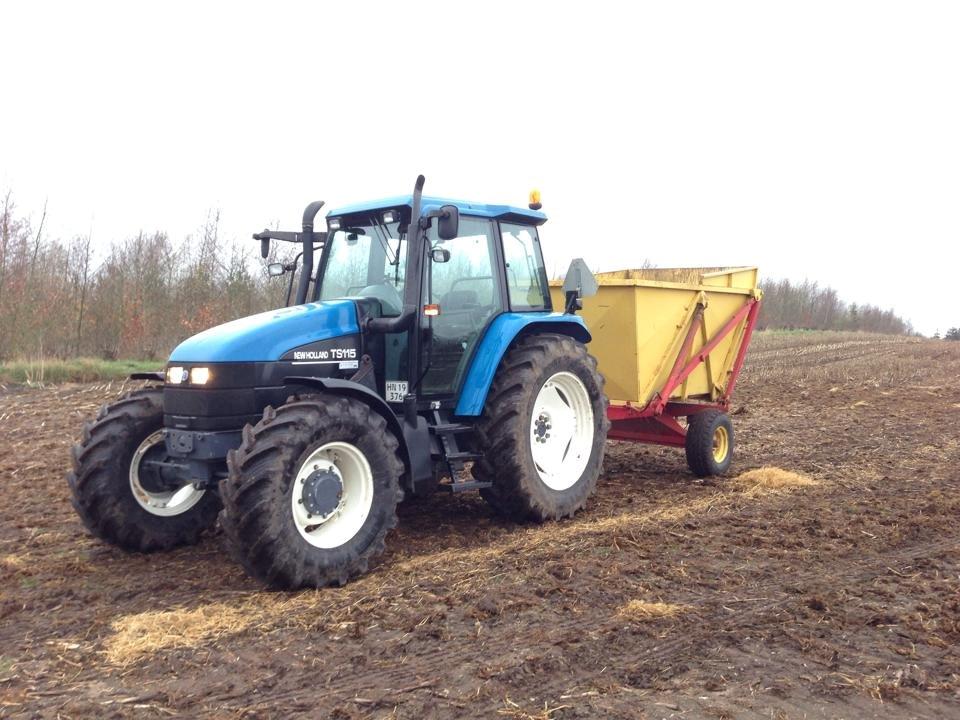 New Holland TS 115 - Kører møg :) billede 15